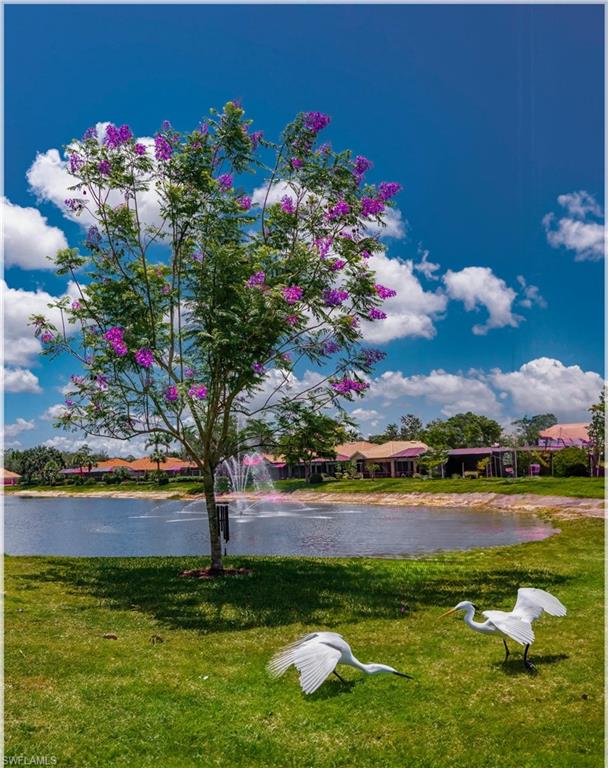 9871 Rookery Circle Estero, FL 33928 - Photo 24 of 33