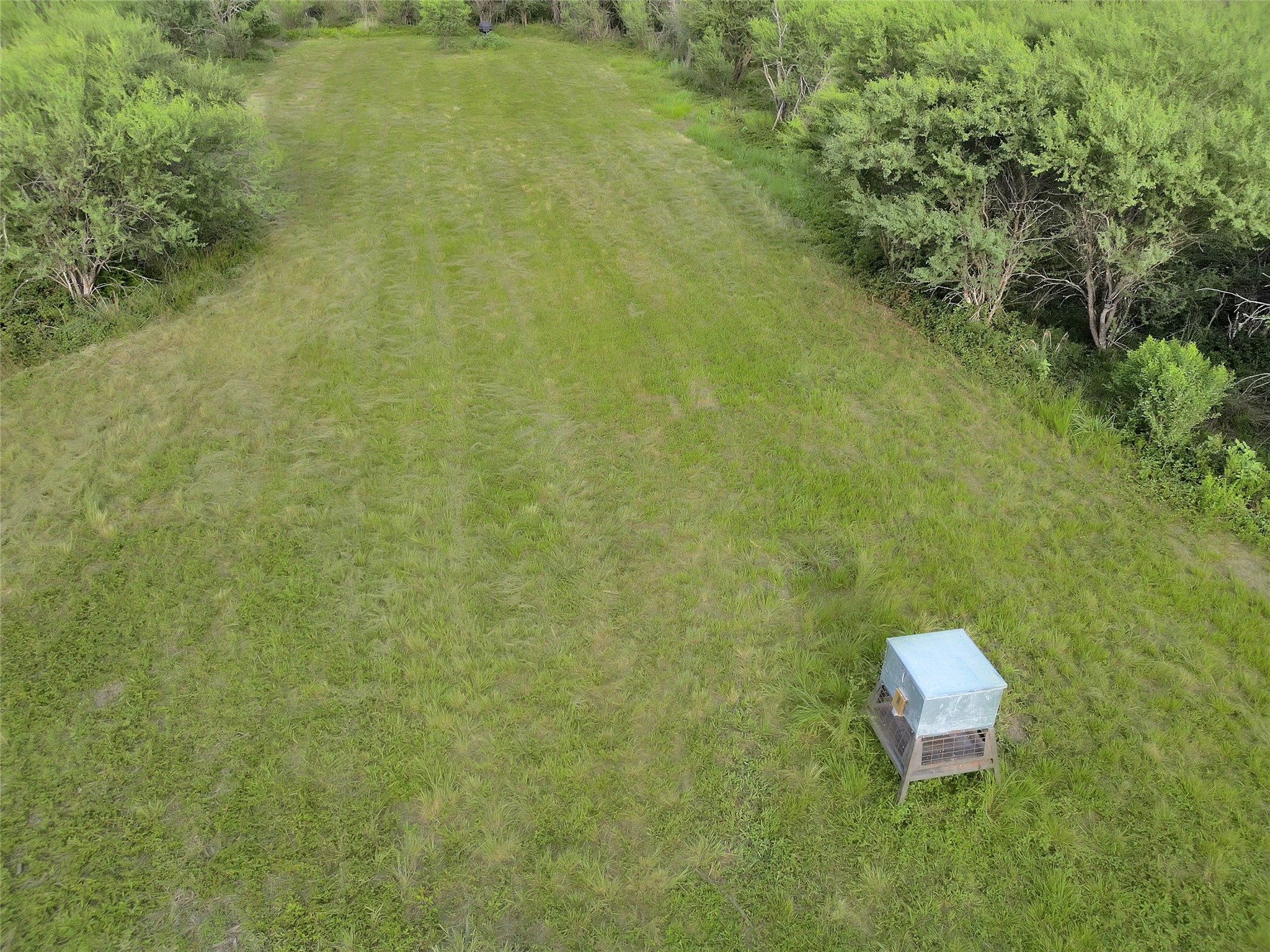 868 Lisa May Road Bellville, TX 77418 - Photo 36 of 39 view of a yard with a wall