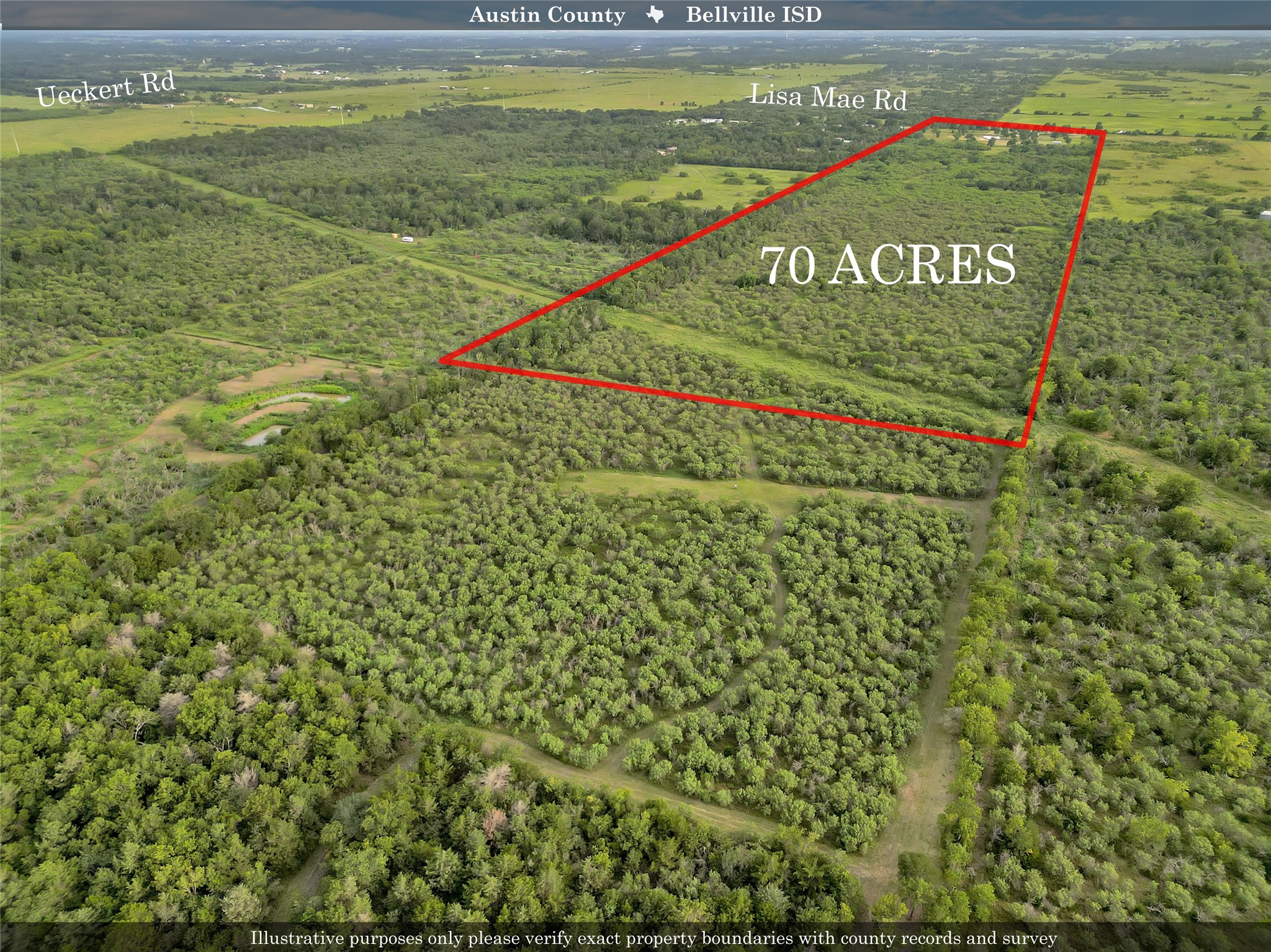 868 Lisa May Road Bellville, TX 77418 - Photo 7 of 39