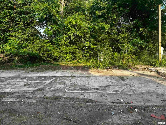 $3,000 | 111 Midkiff Street, Harrisburg, IL 62946