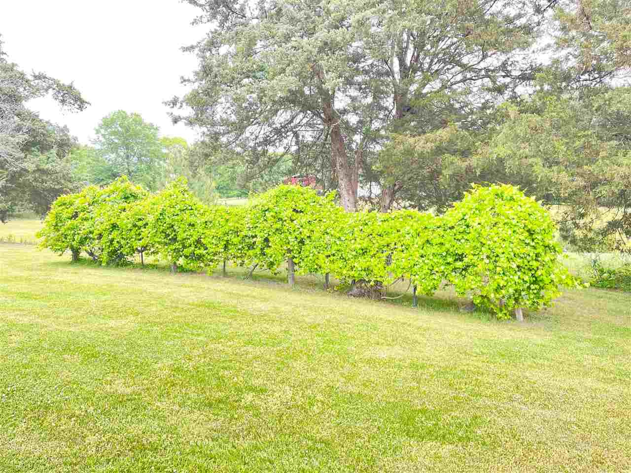 3710 Gorman Church Road Durham, NC 27704 - Photo 29 of 30 Photo 29