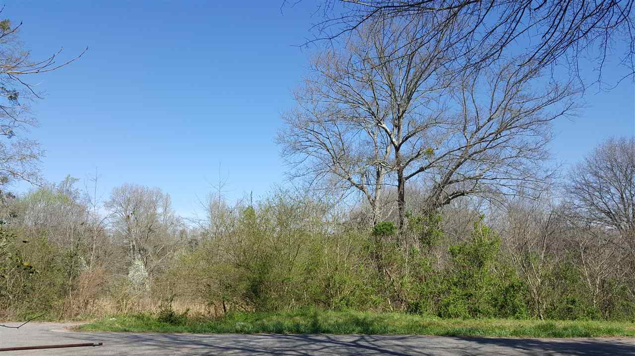 123 Spear Road Pendleton, SC 29670 - Photo 1 of 1