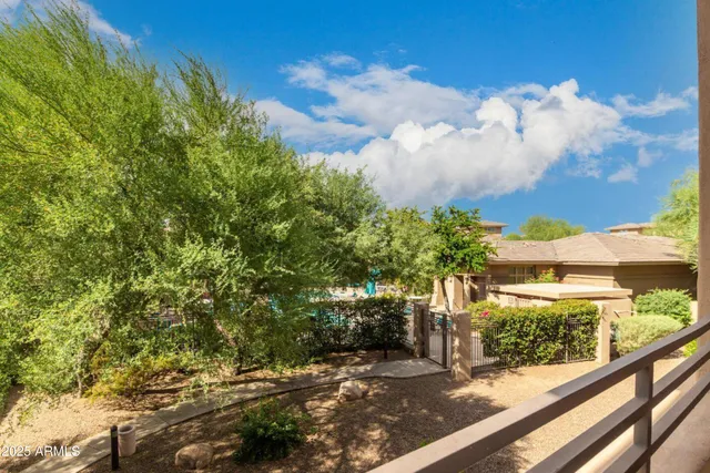 a view of a yard with plants and a large tree