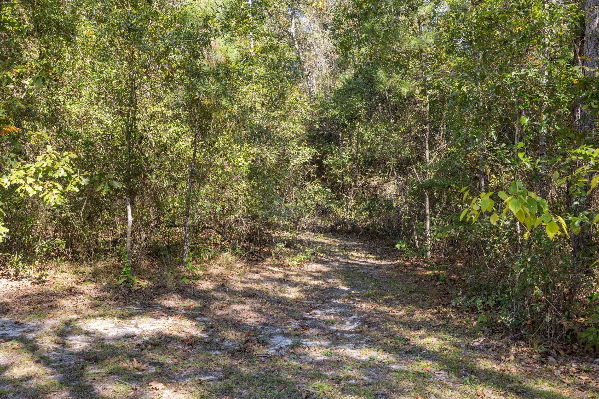 1015 Dover Road Havana, FL 32333 - Photo 10 of 42 Gallery Image 10