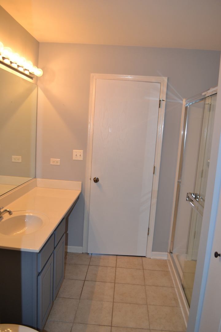 169 Springbrook Trail South Oswego, IL 60543 - Photo 11 of 18