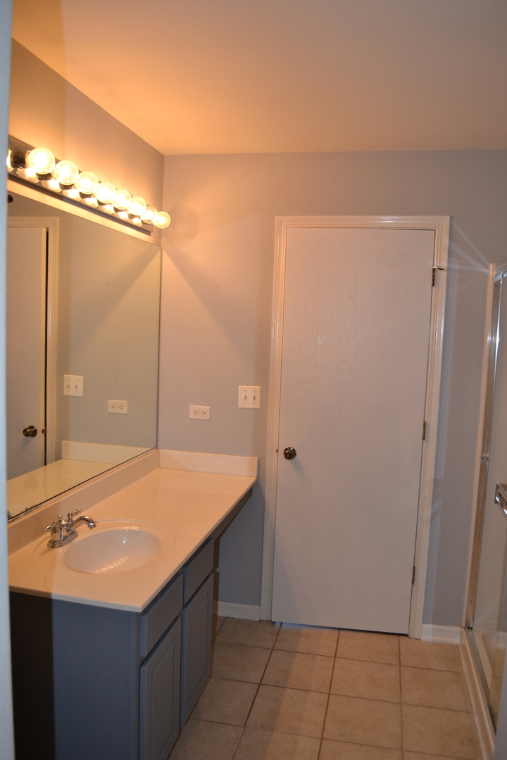 169 Springbrook Trail South Oswego, IL 60543 - Photo 12 of 18