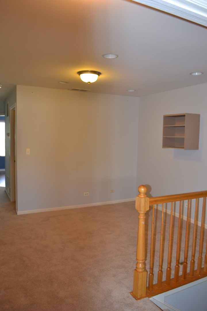 169 Springbrook Trail South Oswego, IL 60543 - Photo 13 of 18