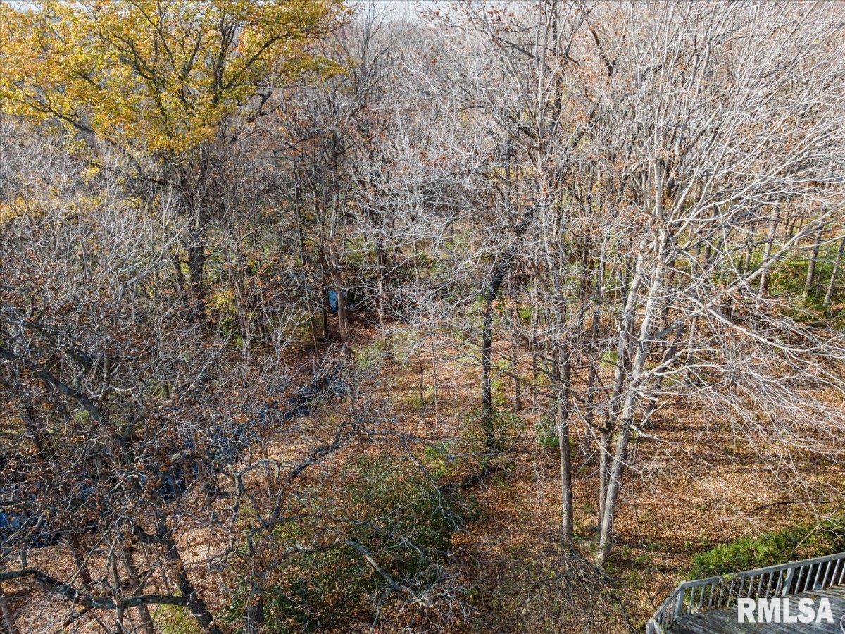 405 Clipper Road Springfield, IL 62711 - Photo 82 of 92