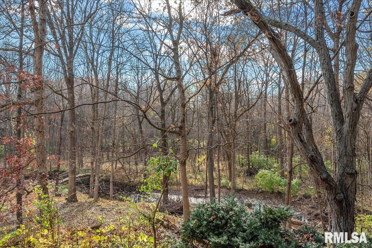 405 Clipper Road Springfield, IL 62711 - Photo 85 of 92
