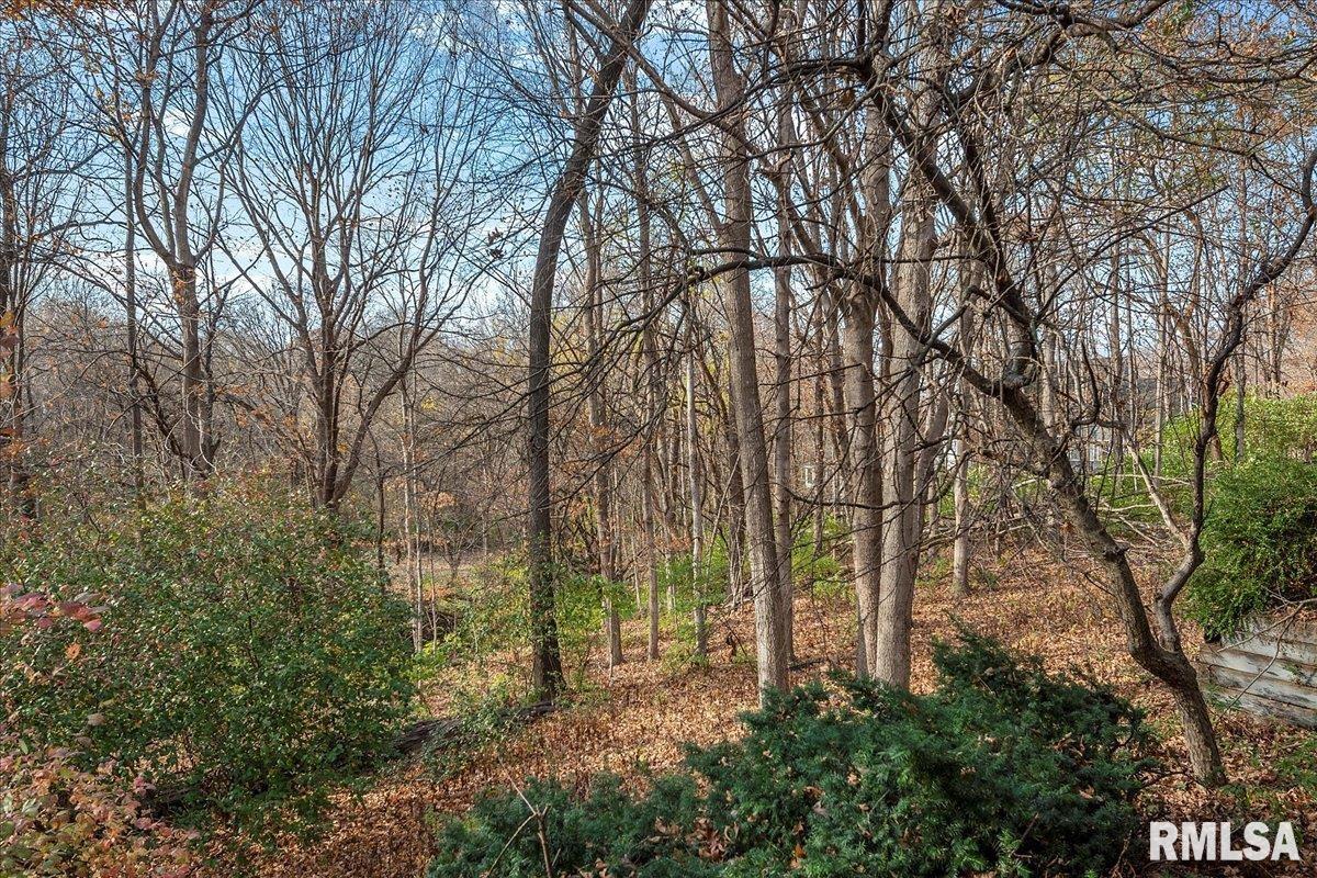 405 Clipper Road Springfield, IL 62711 - Photo 86 of 92
