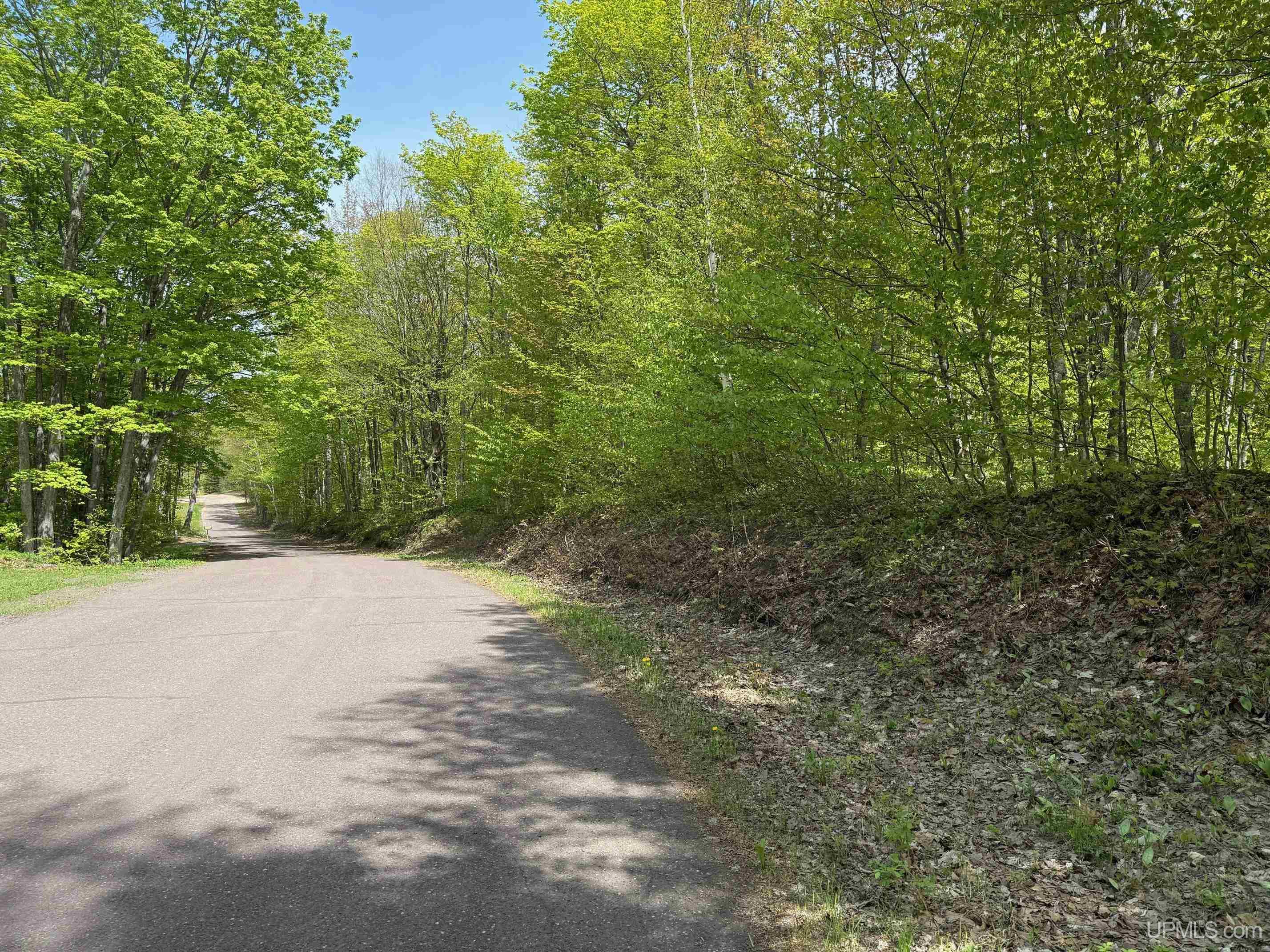 Tbd10 Twin Lakes Road Toivola, MI 49965 - Photo 15 of 18 Gallery Image 15