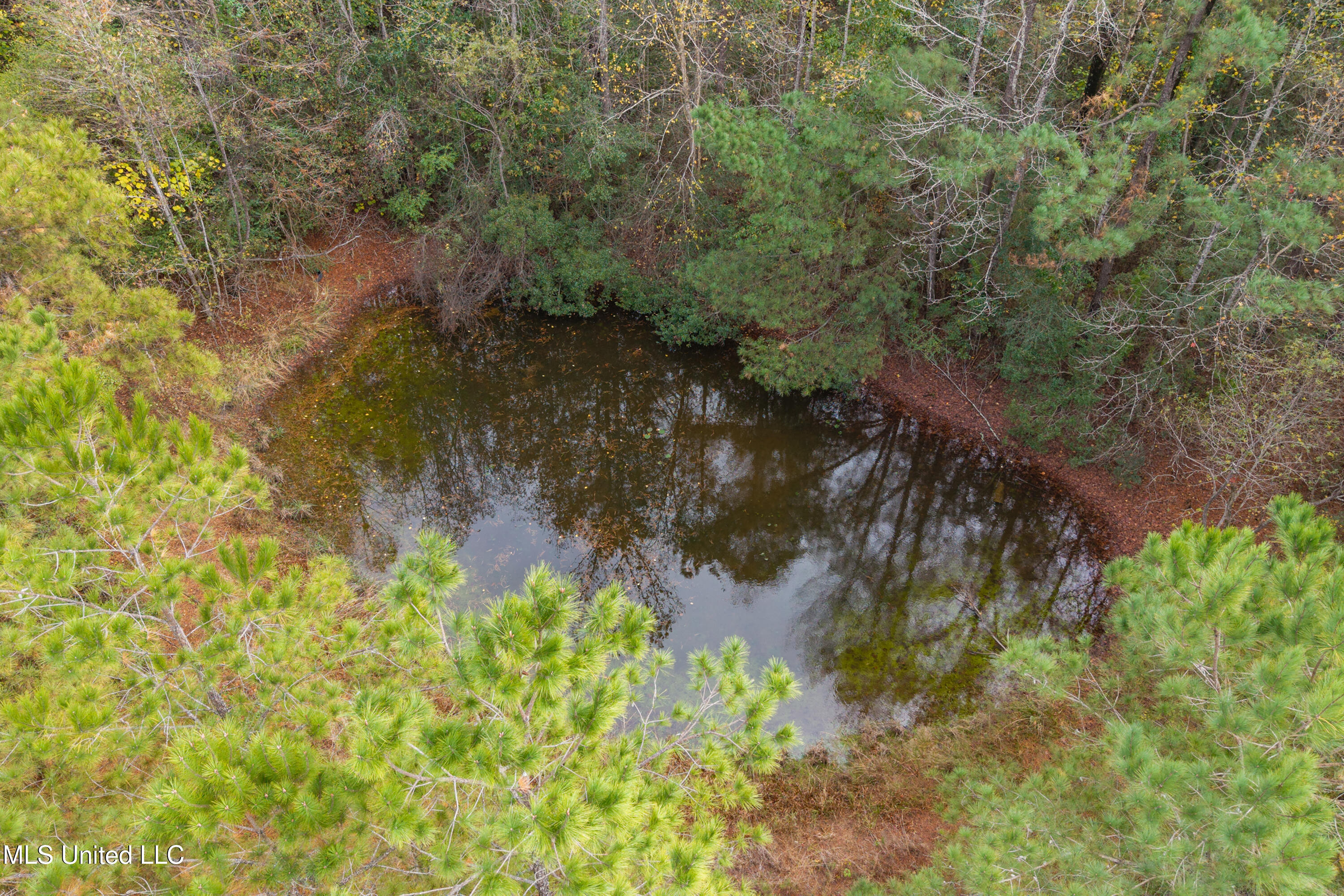 Byrnes Drive Saucier, MS 39574 - Photo 4 of 8 5