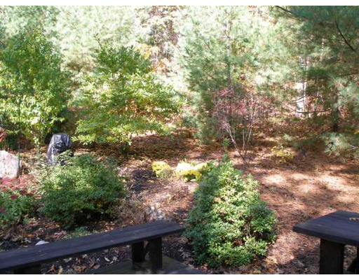 38 Bay Colony Drive Ashland, MA 01721 - Photo 16 of 18 a view of a yard with plants