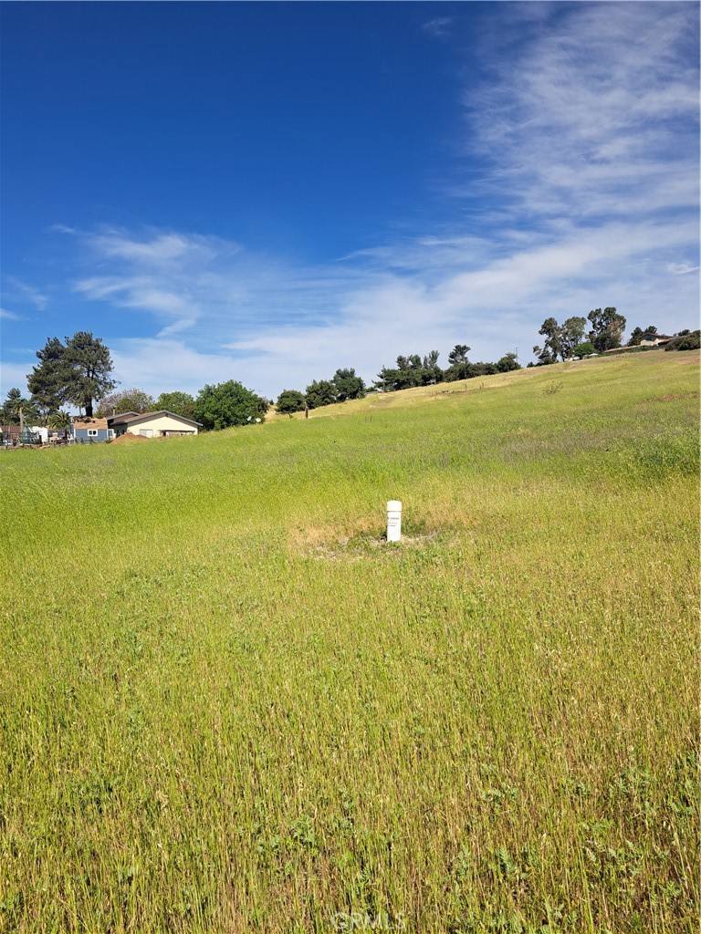 4286 Highway 41 Templeton, CA 93465 - Photo 4 of 6 a view of an ocean from a yard