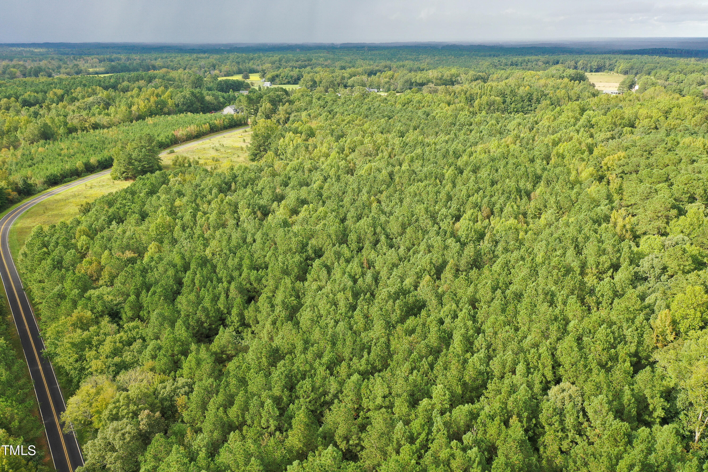 39.8-acres Rick Boone Road Castalia, NC 27816 - Photo 15 of 35 15