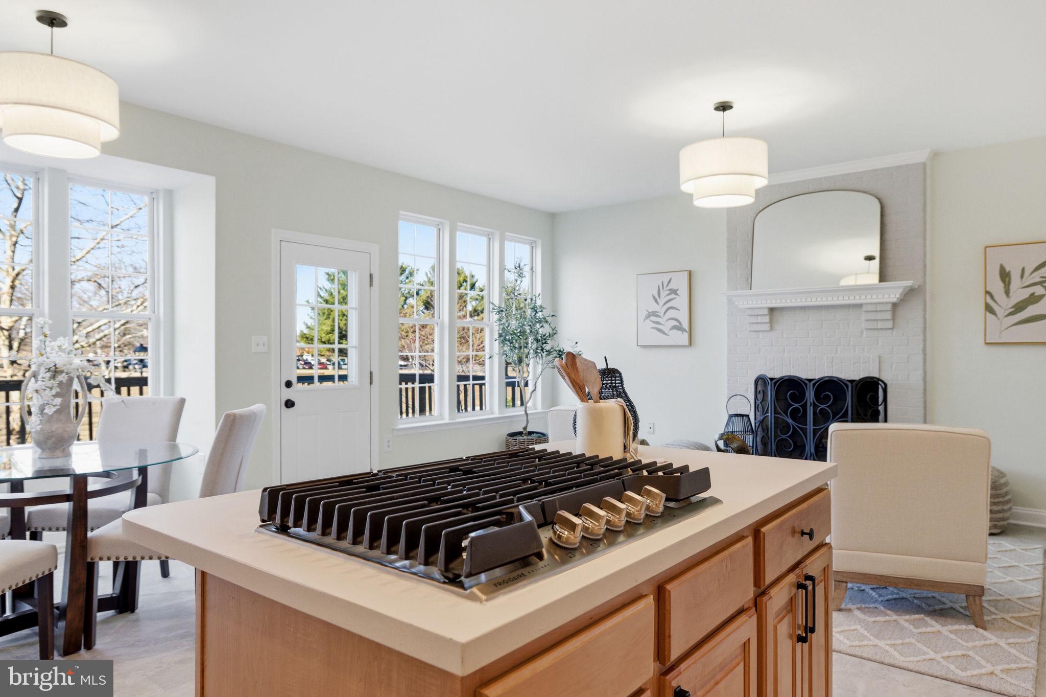 601 Springhouse Square Southeast Leesburg, VA 20175 - Photo 28 of 90 Chef's view