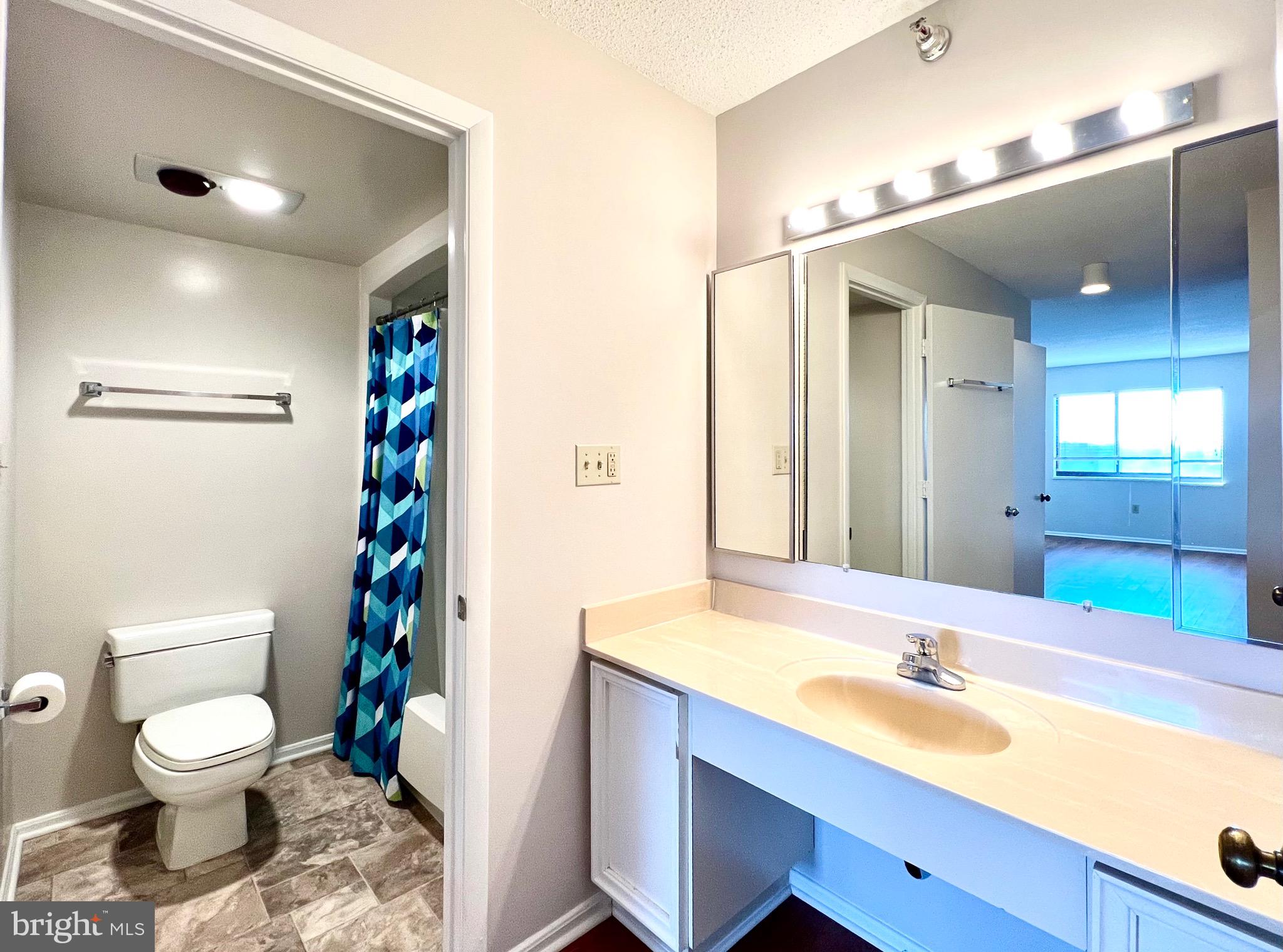 15115 Interlachen Drive, Unit 701 Silver Spring, MD 20906 - Photo 28 of 48 Full bath with dressing area