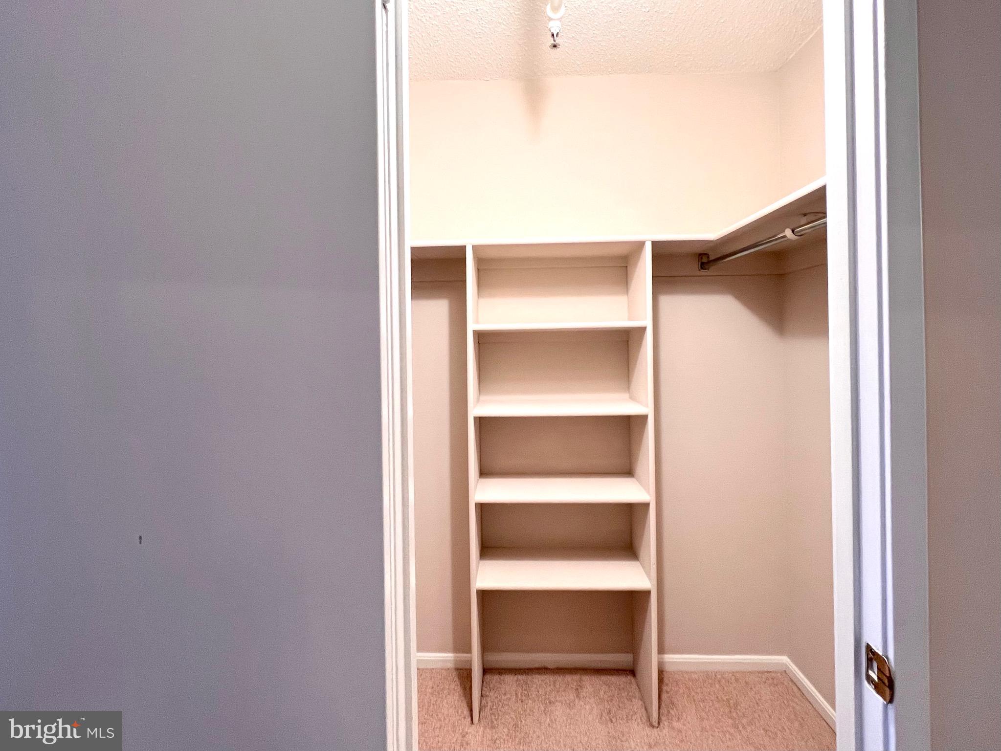 15115 Interlachen Drive, Unit 701 Silver Spring, MD 20906 - Photo 29 of 48 Walk-in closet and additional closet