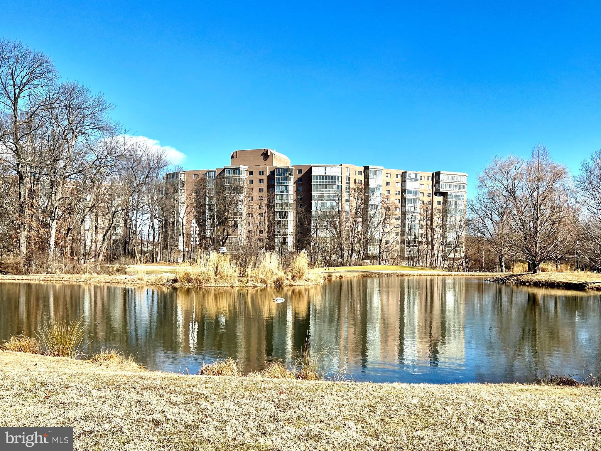 15115 Interlachen Drive, Unit 701 Silver Spring, MD 20906 - Photo 3 of 48 View of Pond