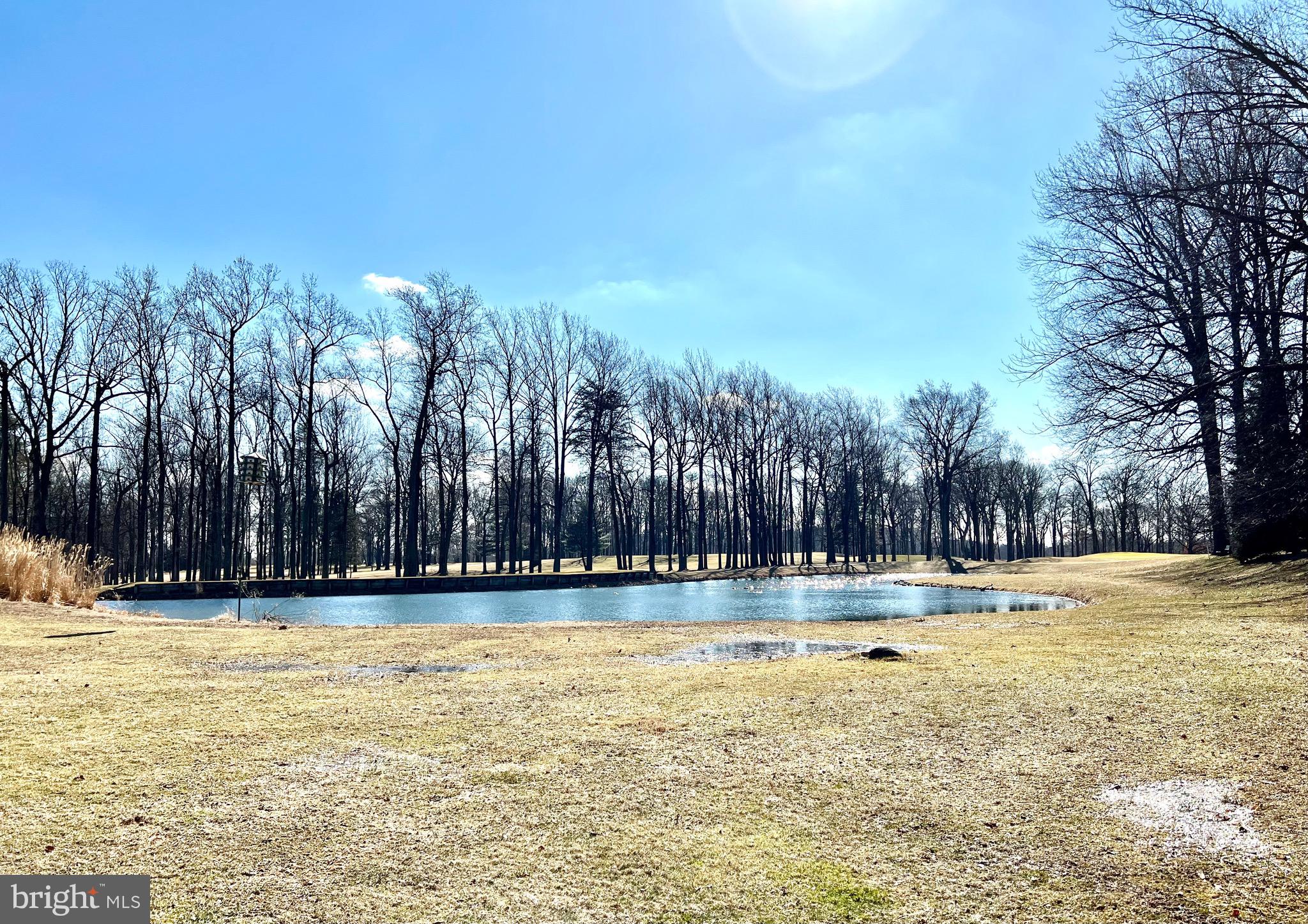 15115 Interlachen Drive, Unit 701 Silver Spring, MD 20906 - Photo 4 of 48 Pond view