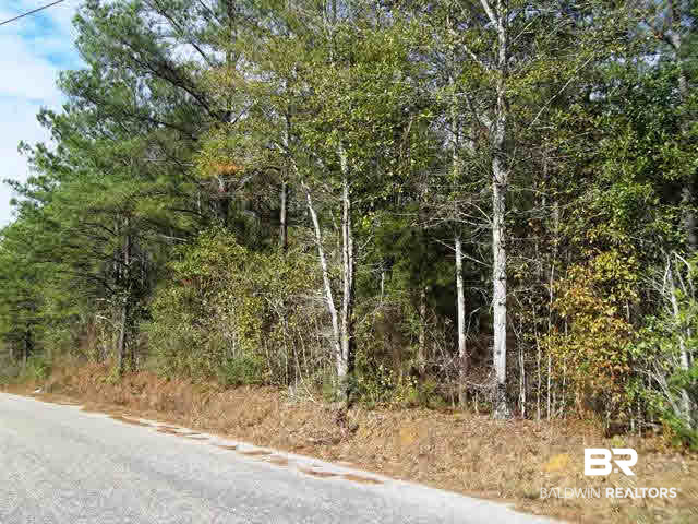 962 West State Line Road Flomaton, AL 36441 - Photo 13 of 16