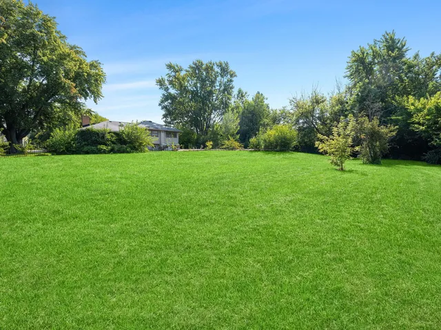 a view of a grassy field with trees