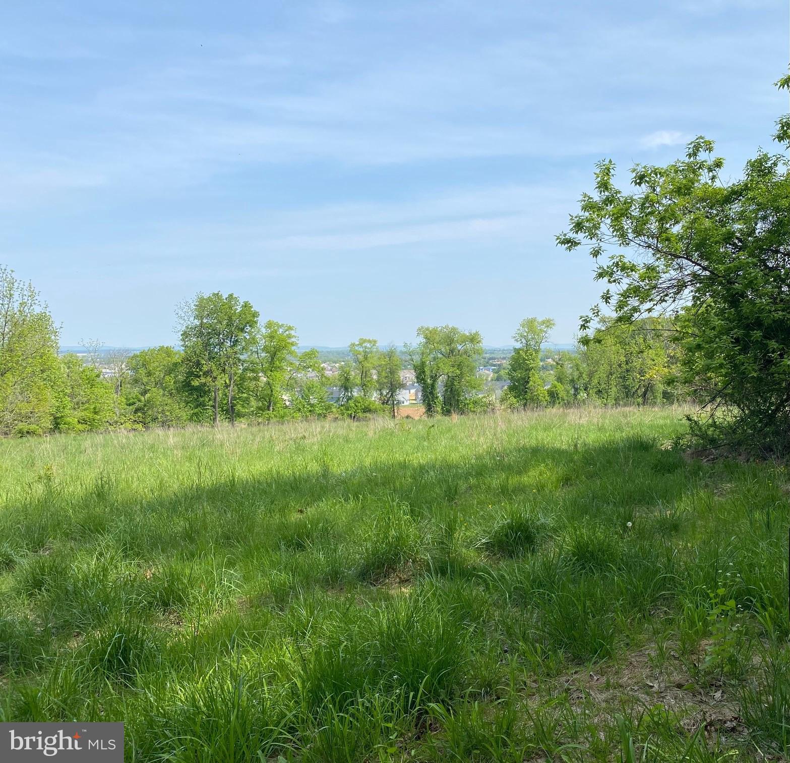 a view of a green field with lots of bushes