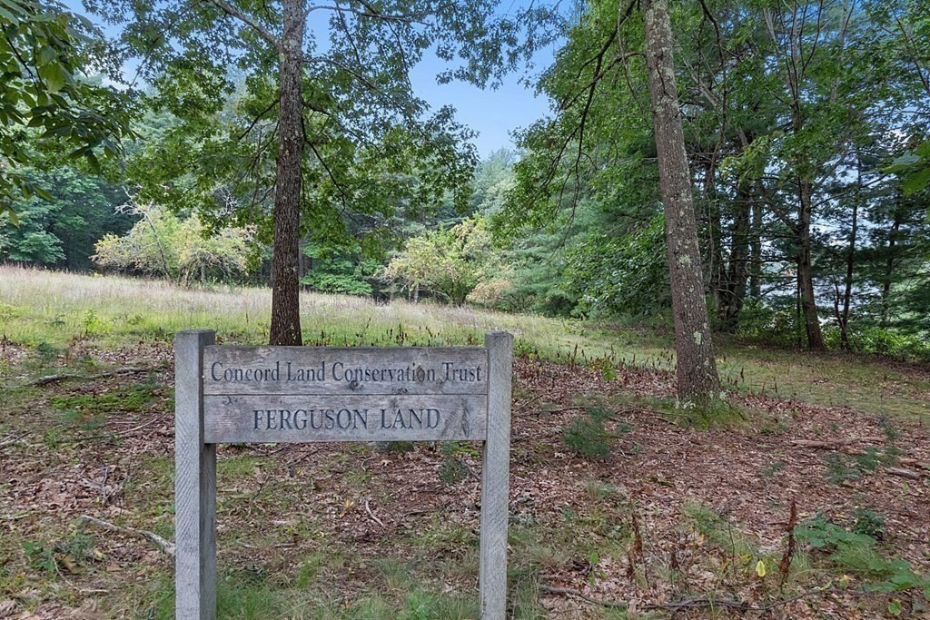 61 Garfield Road Concord, MA 01742 - Photo 31 of 33 a view of a yard in the forest