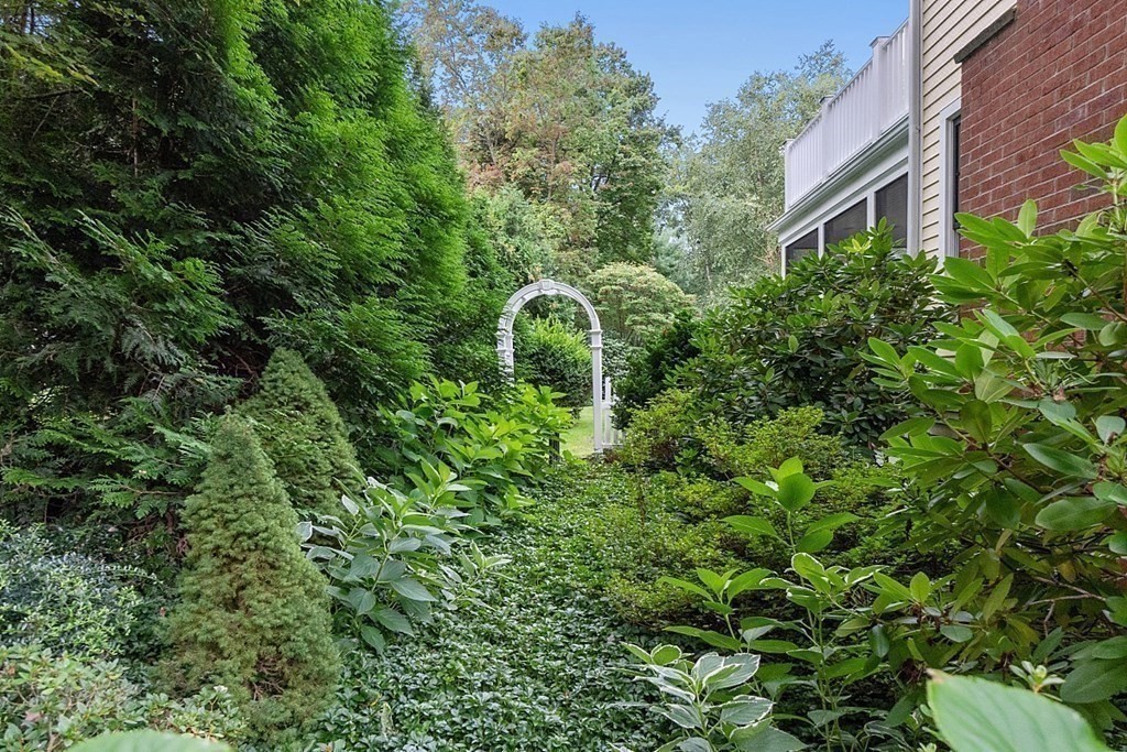 61 Garfield Road Concord, MA 01742 - Photo 32 of 33 a close up of a plant in a garden