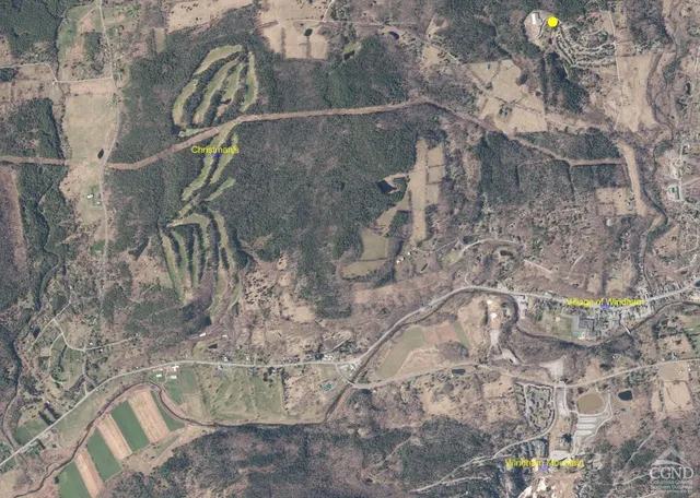 a vase of flowers sitting on a table