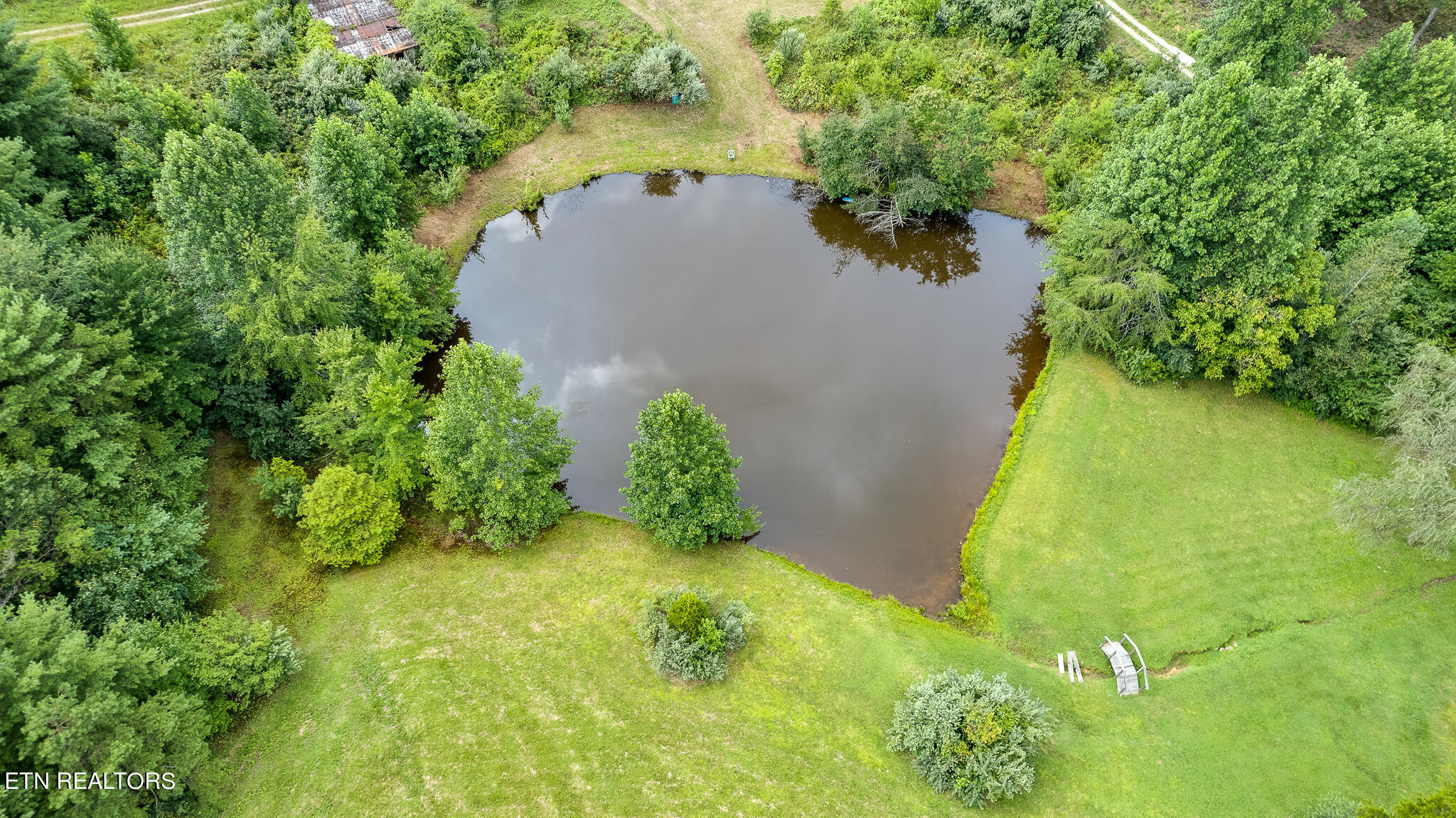 150 Bill Hamby Road Lancing, TN 37770 - Photo 14 of 54 Shared pond