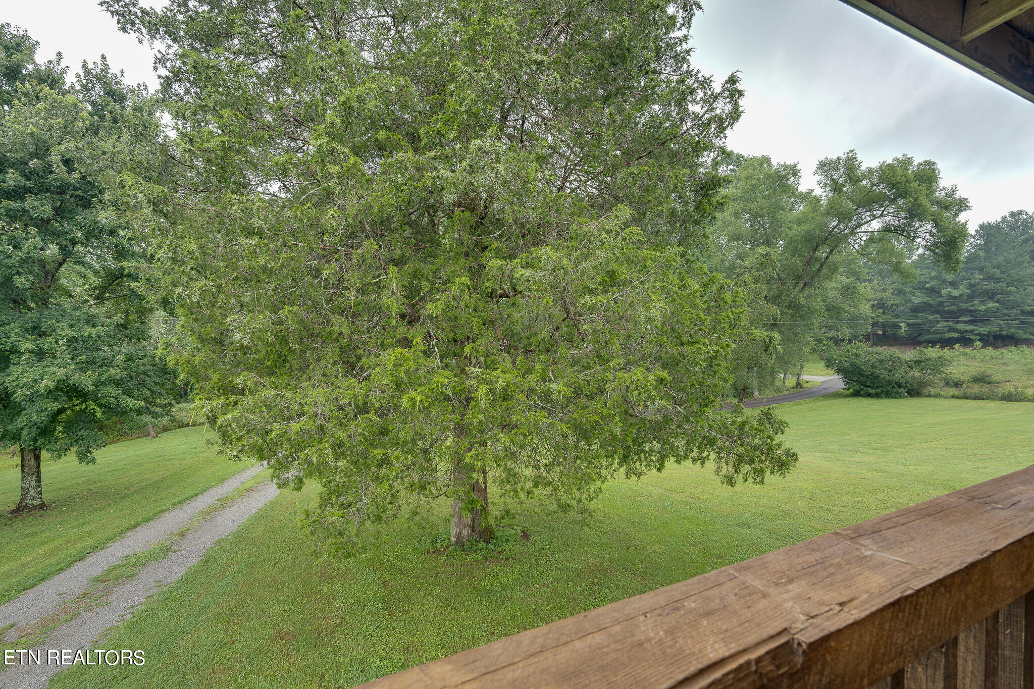 150 Bill Hamby Road Lancing, TN 37770 - Photo 45 of 54 View from Porch