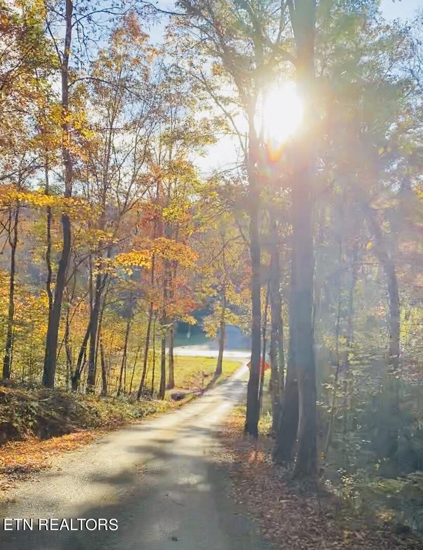 150 Bill Hamby Road Lancing, TN 37770 - Photo 7 of 54 Coming in on road is beautiful!