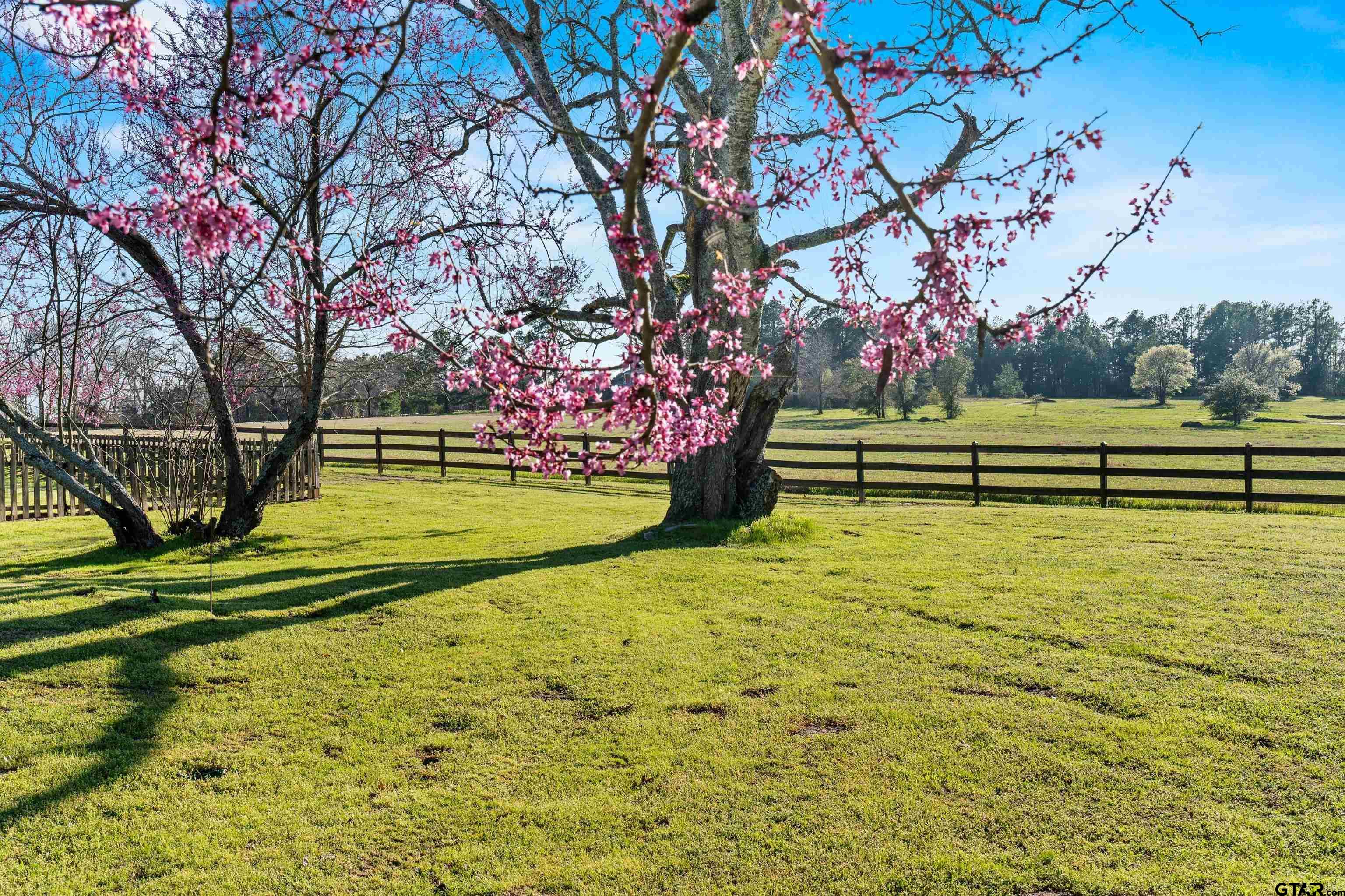 11992 County Road 4233 Cushing, TX 75760 - Photo 28 of 48 a view of outdoor space with a garden