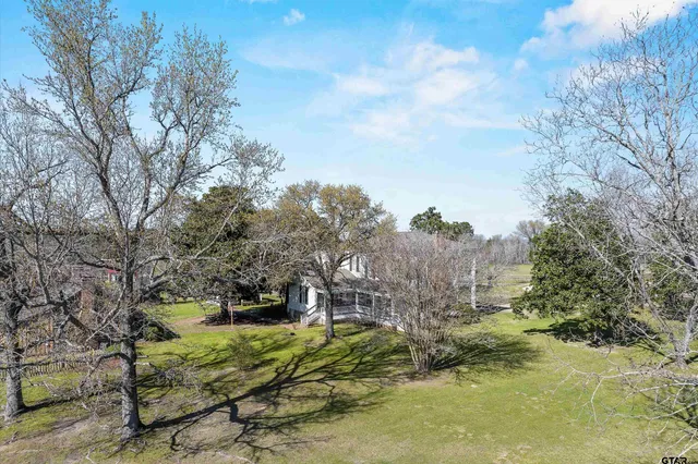 a view of a backyard