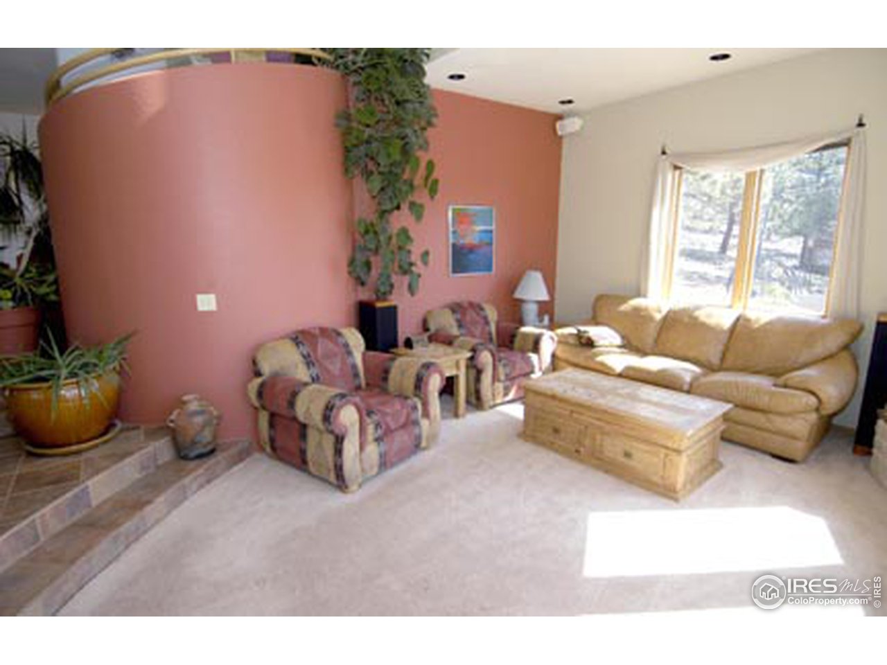 580 Eagle Ridge Road Longmont, CO 80503 - Photo 3 of 12 a living room with furniture and potted plants