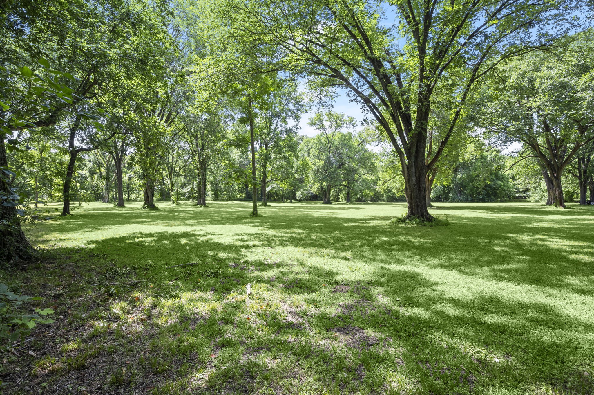 5298 Circle View Montgomery, TX 77316 - Photo 36 of 36