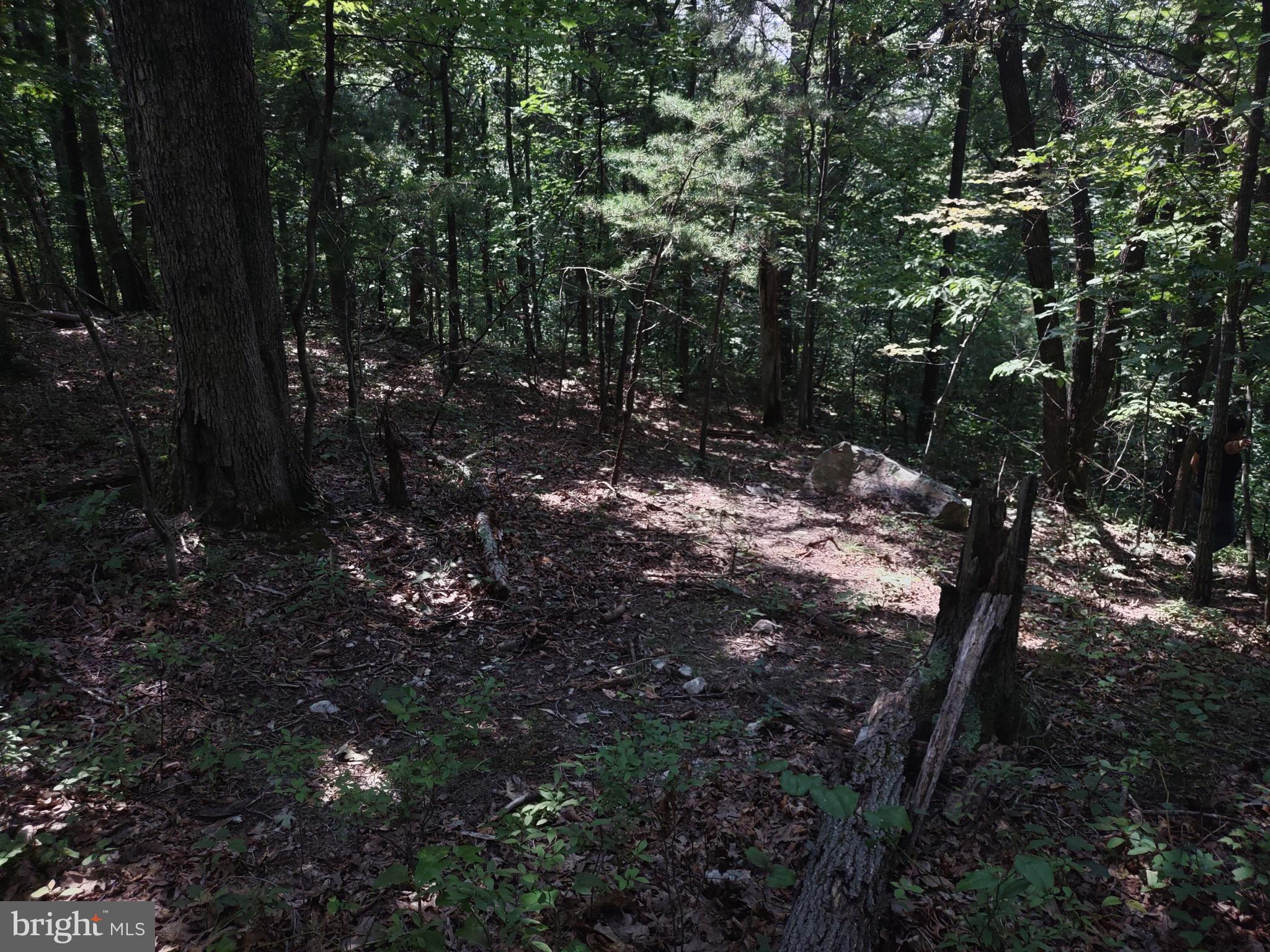 Blevins Road East Luray, VA 22835 - Photo 2 of 8