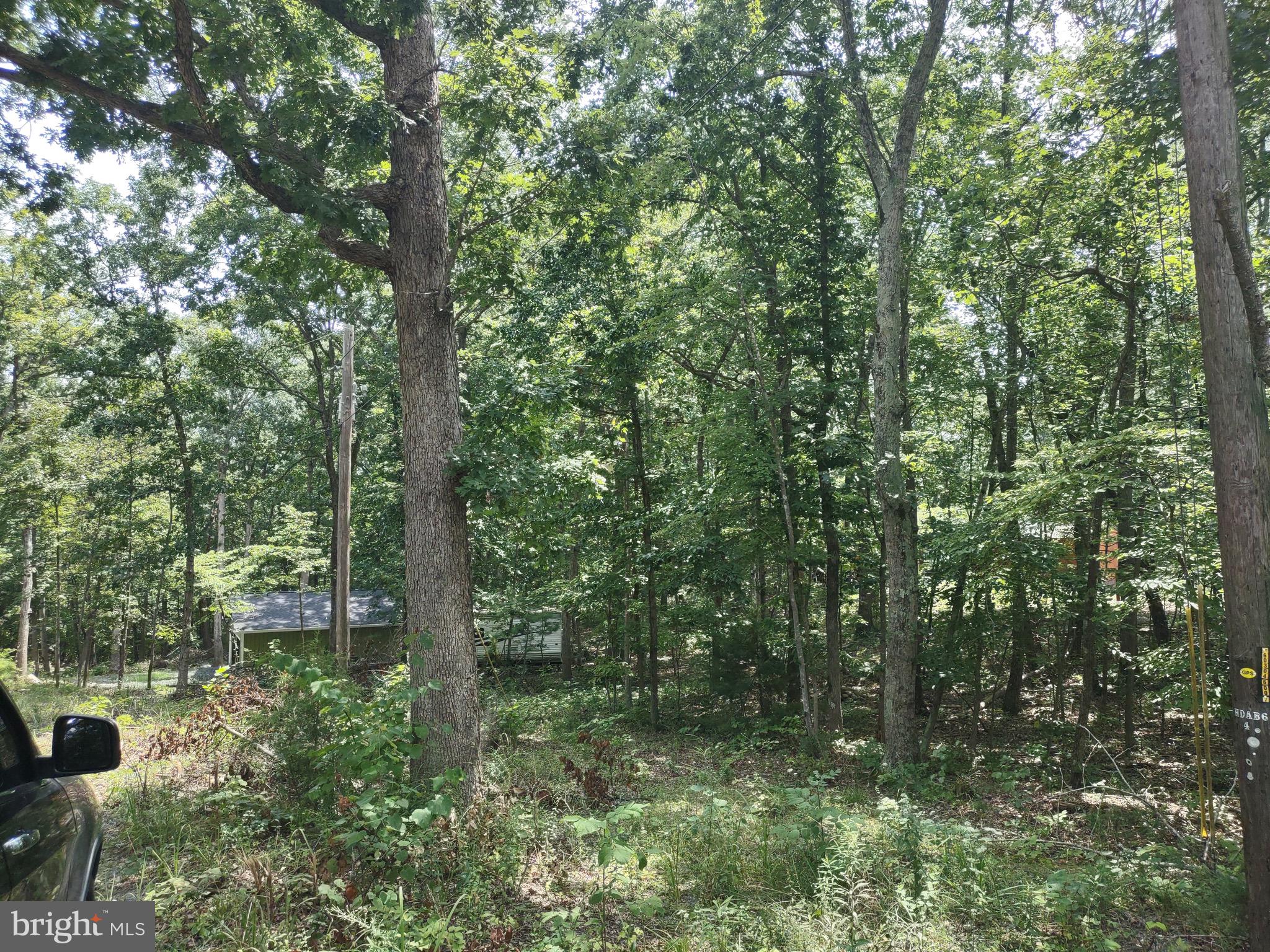 Blevins Road East Luray, VA 22835 - Photo 7 of 8