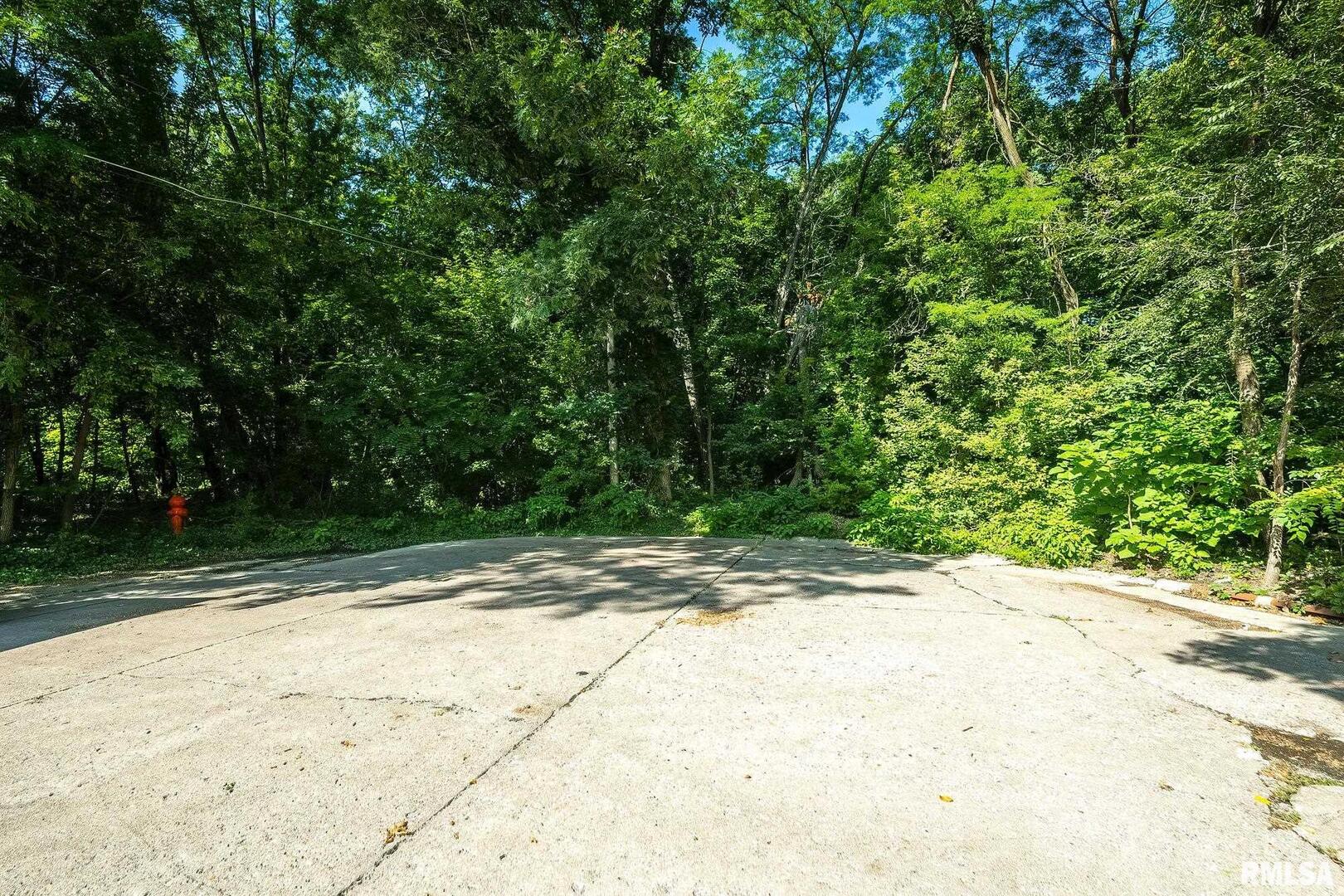 a view of backyard with green space