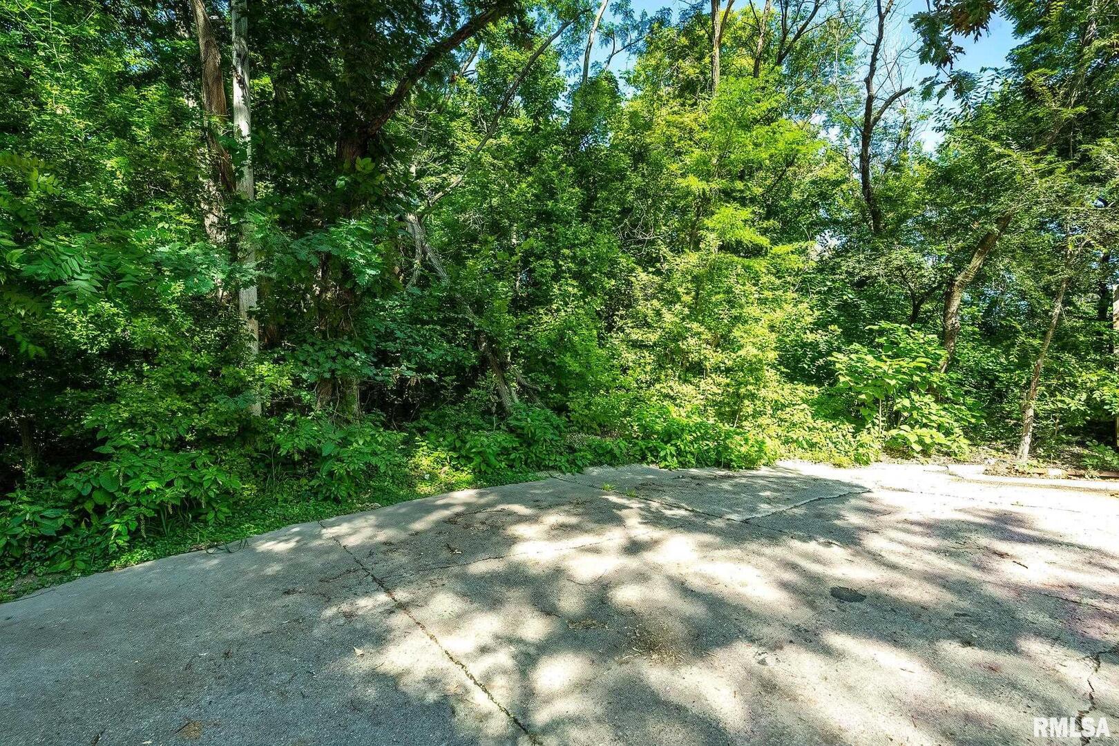 4200 13th Avenue Moline, IL 61265 - Photo 2 of 2 a view of a yard with plants and a trees