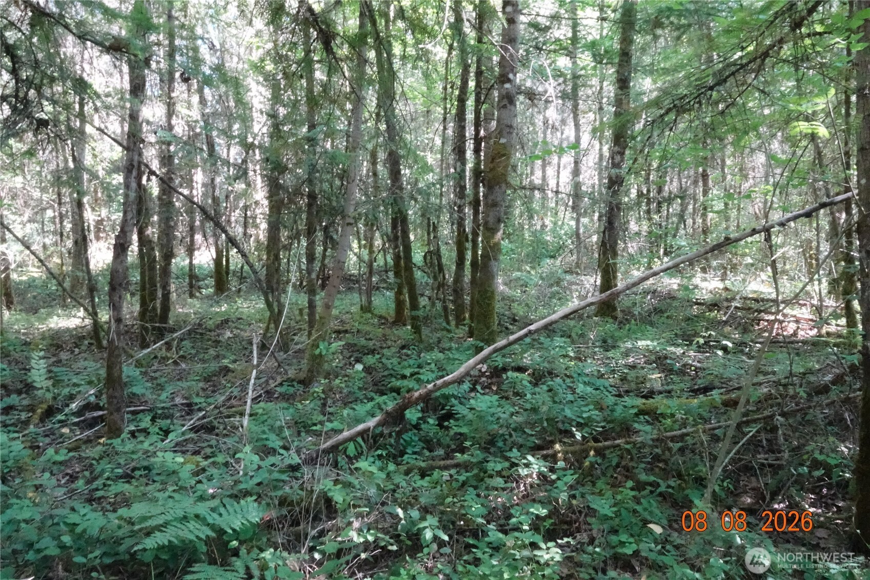 41102 Tanwax Road South Roy, WA 98580 - Photo 14 of 22 Gallery Image 14