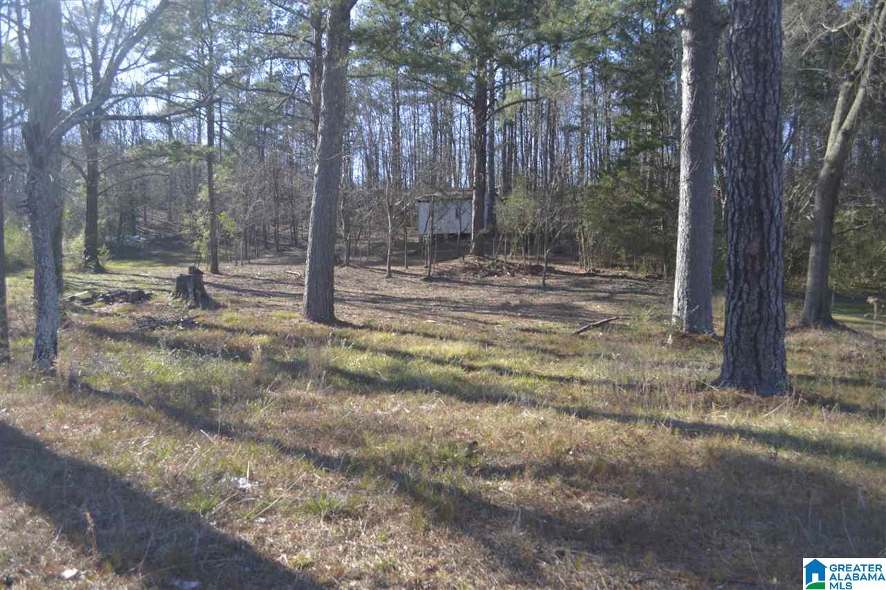 1845 Pelham Road South, Unit VACANT LOT Jacksonville, AL 36265 - Photo 4 of 11