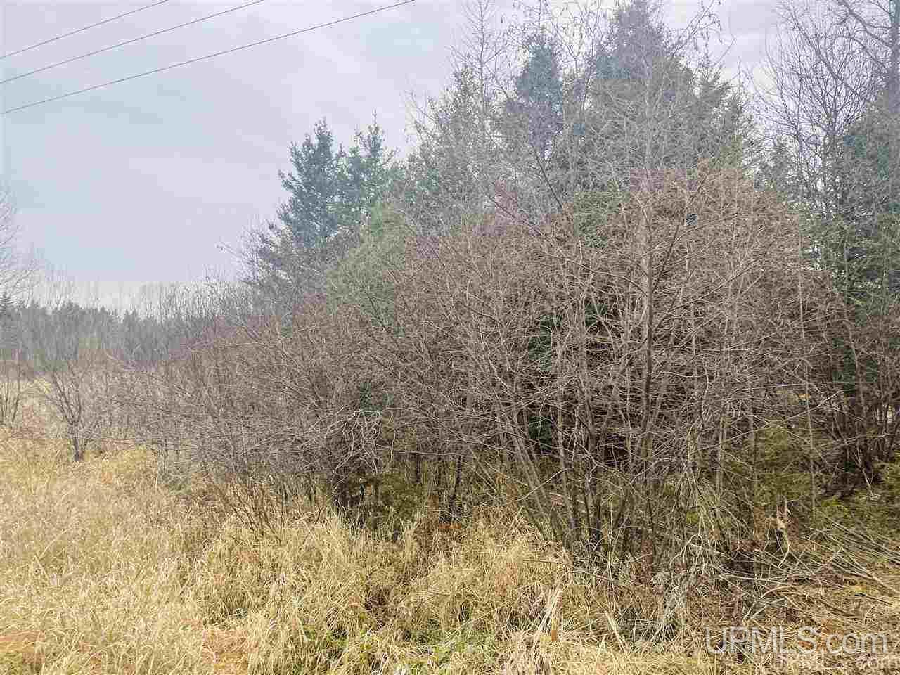Tbd St Nicholas Road Rock, MI 49880 - Photo 8 of 22