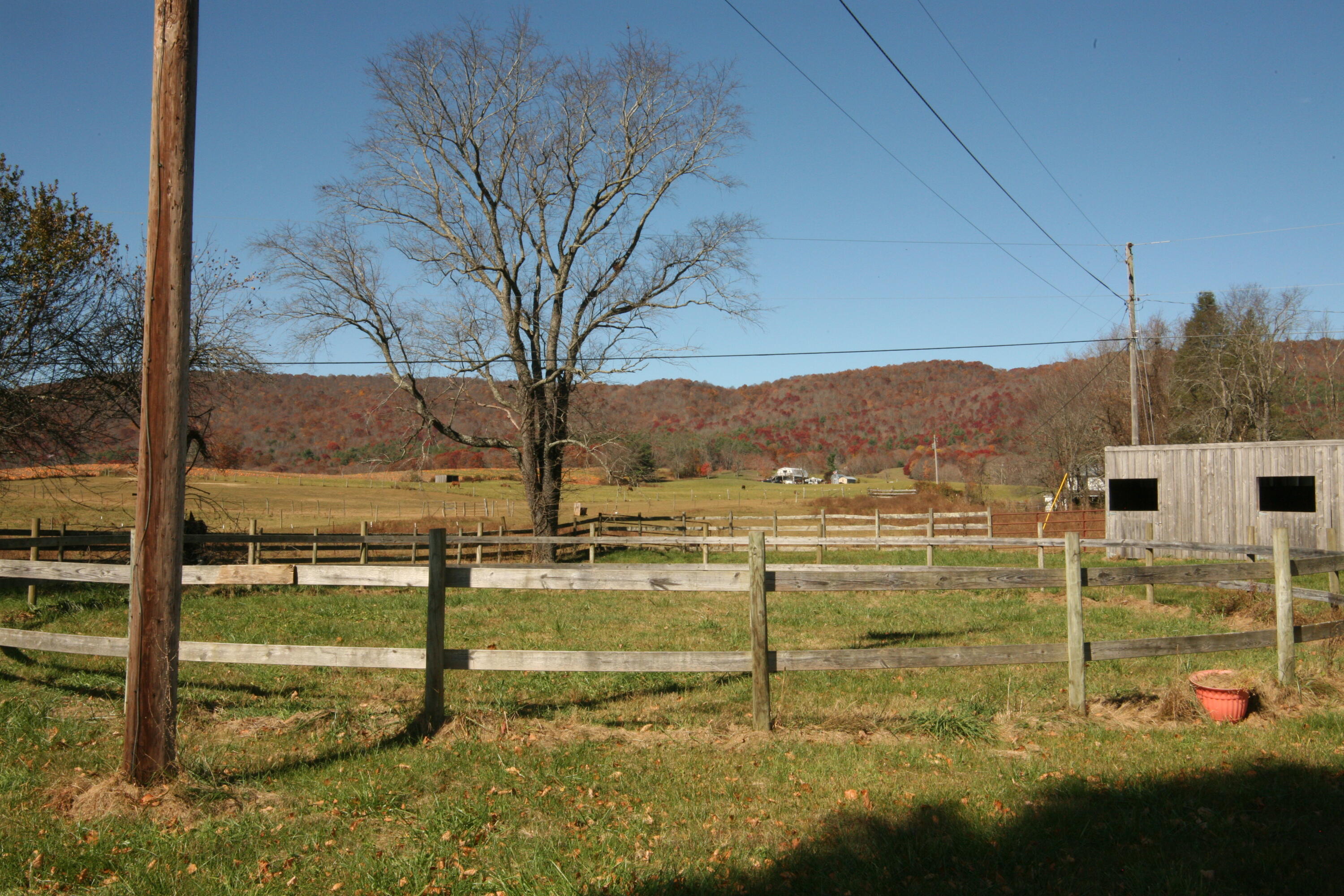 1405 Teas Road Sugar Grove, VA 24375 - Photo 49 of 57 IMG_1588