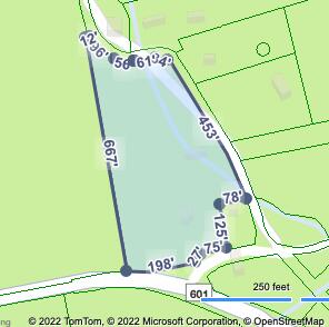 1405 Teas Road Sugar Grove, VA 24375 - Photo 56 of 57 Screen Shot 2022-11-18 at 2.14.33 PM
