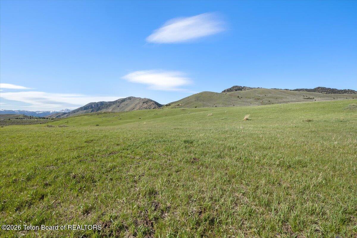 7650 South Squaw Creek Road Jackson, WY 83001 - Photo 10 of 17 7650 Squaw Creek Rd