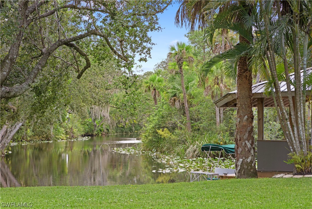 17301 Frank Road Alva, FL 33920 - Photo 33 of 46 a view of lake with green space