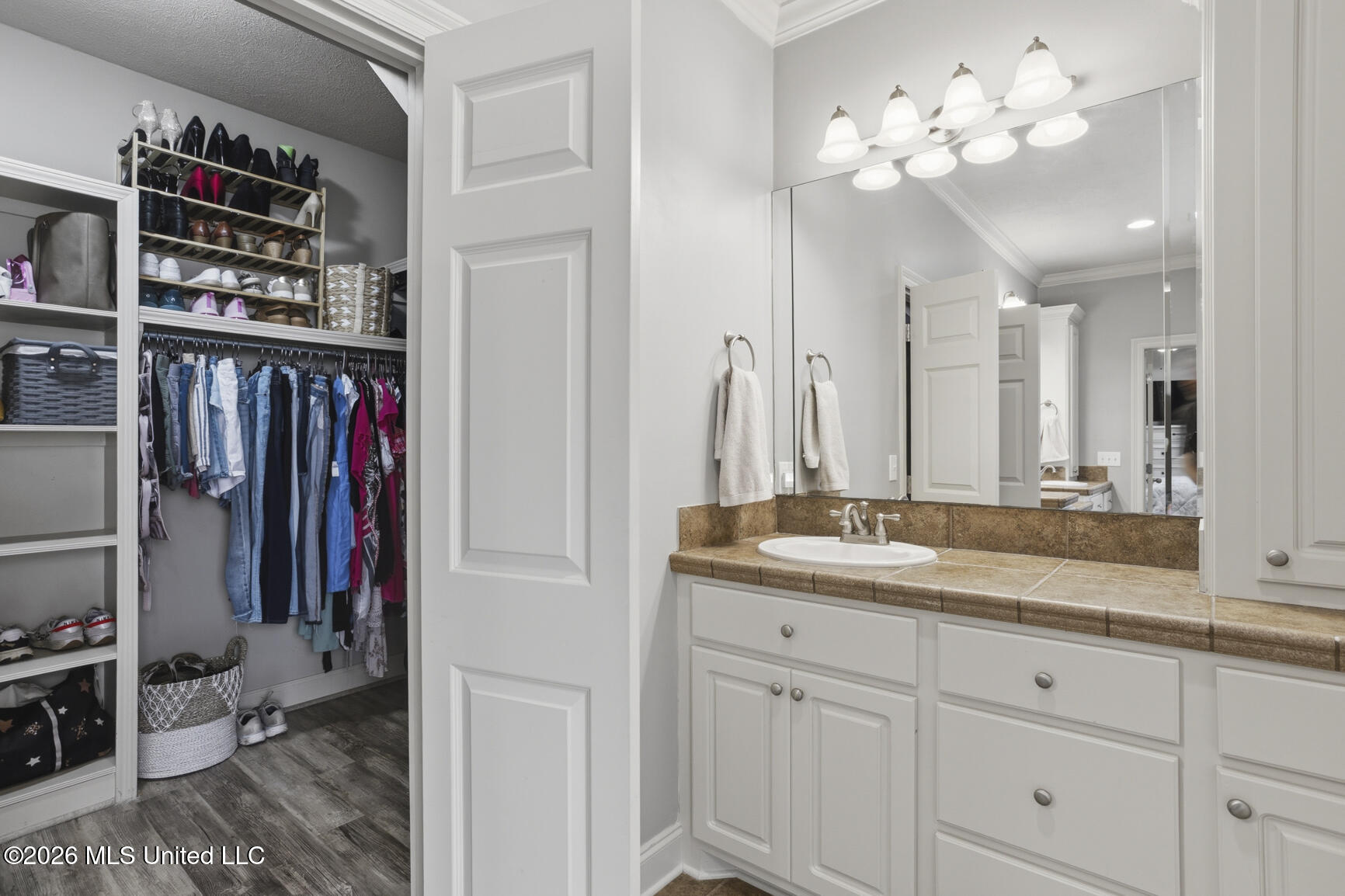 143 Covey Run Madison, MS 39110 - Photo 23 of 33 More vanity Space