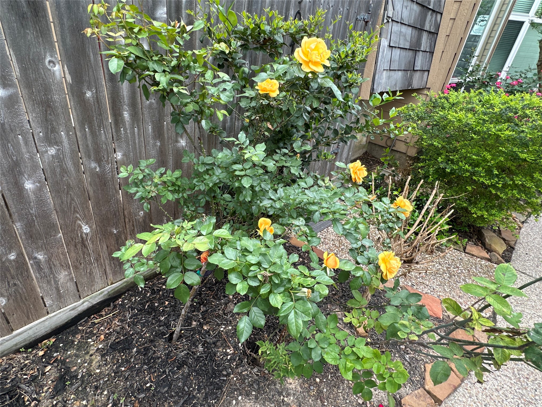 16120 Stuebner Airline Road, Unit 202 Spring, TX 77379 - Photo 16 of 19